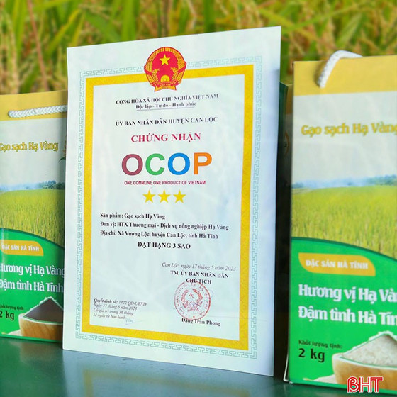 Gạo sạch Hạ Vàng