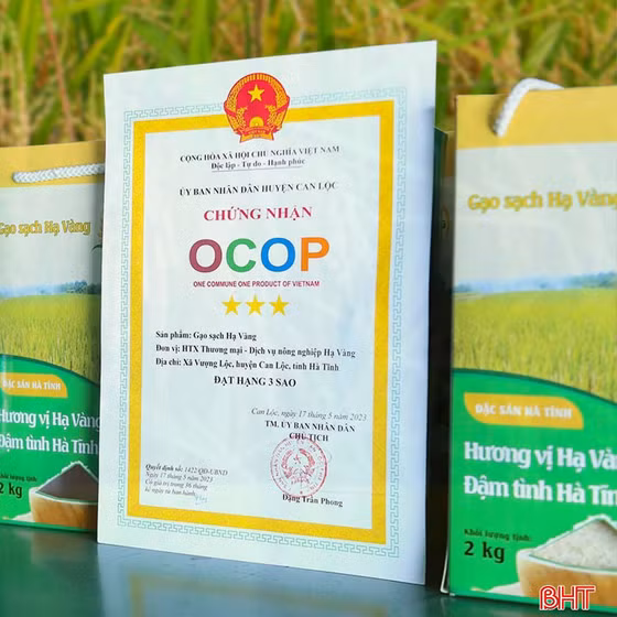 Gạo sạch Hạ Vàng