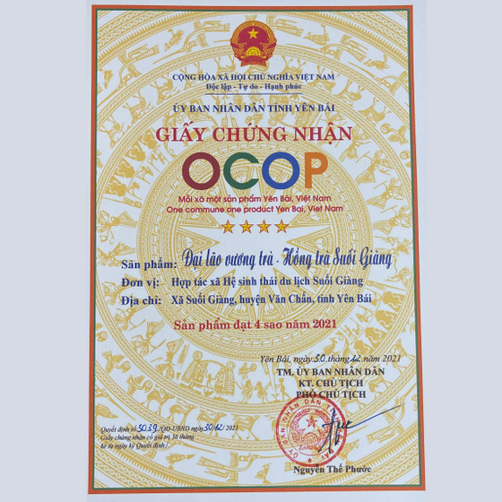 Đại lão vương trà - Hồng trà Suối Giàng