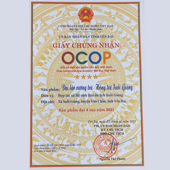 Đại lão vương trà - Hồng trà Suối Giàng