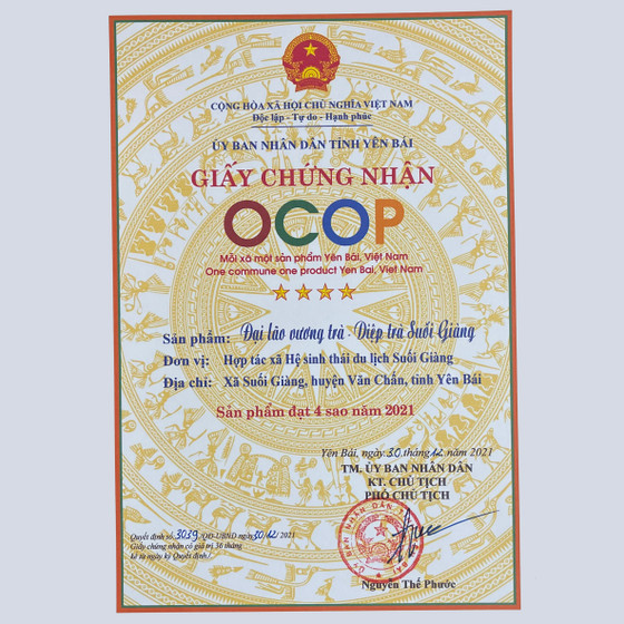 Đại lão vương trà - Diệp trà Suối Giàng