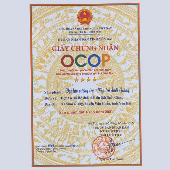 Đại lão vương trà - Diệp trà Suối Giàng