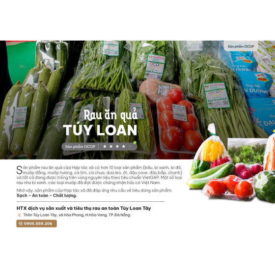 Rau xà lách Túy Loan