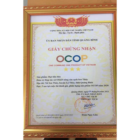 Hạt tiêu đen Sen Thủy