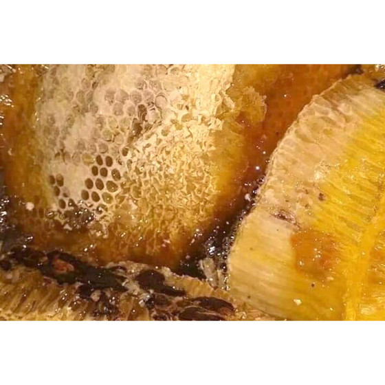 Mật ong Tuyên Hóa