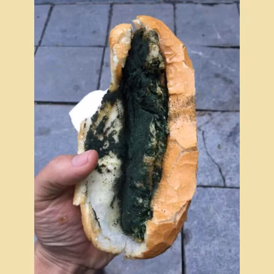 Tảo xoắn Spidana nguyên chất sấy lạnh