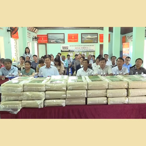 Gạo Hòa Tiến