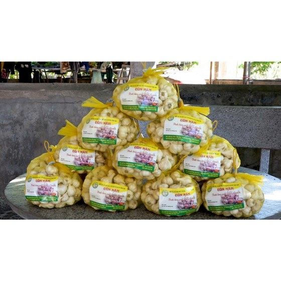 Tỏi sạch Quảng Minh