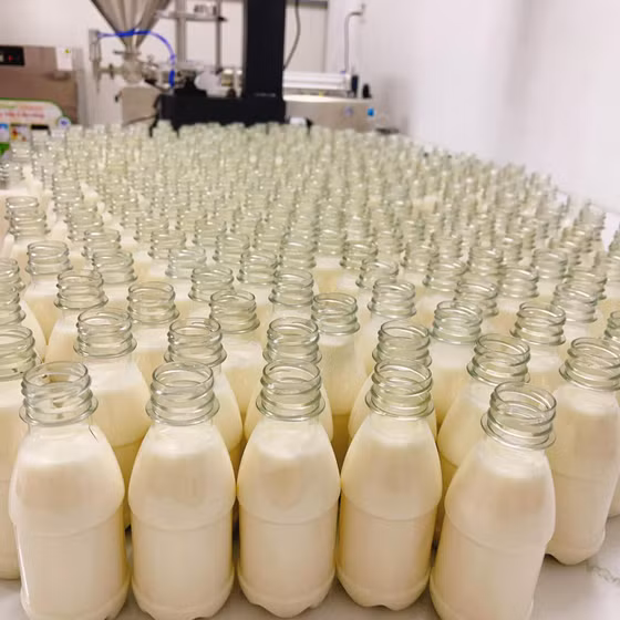 Sữa chua uống Sisters Food