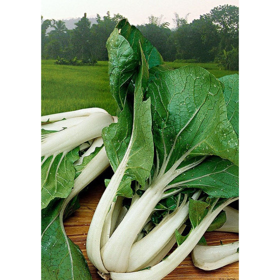 Cải bẹ trắng 500g Afarm