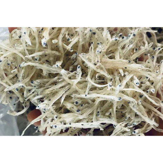 Cá bờm trắng Hải Ninh