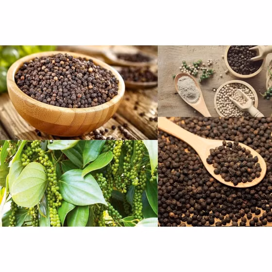 Hạt tiêu Phú Quý