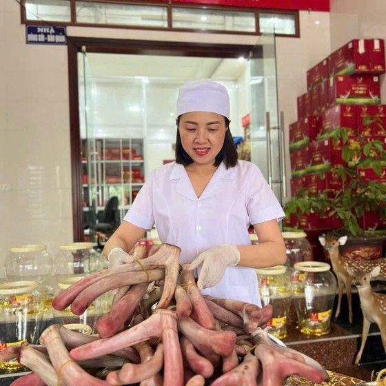Nhung hươu khô tán bột Hiền Ngọc
