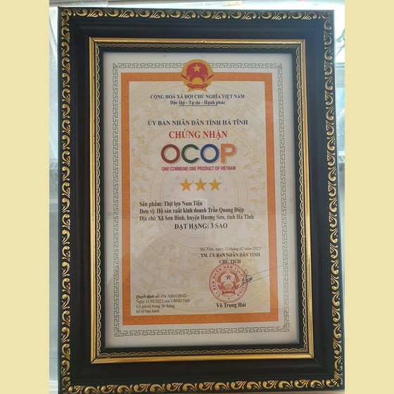 Thịt lợn Nam Tiến