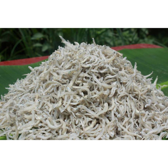 Cá bờm trắng Hải Ninh