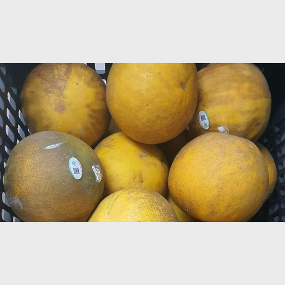 Bưởi Quang Mừng