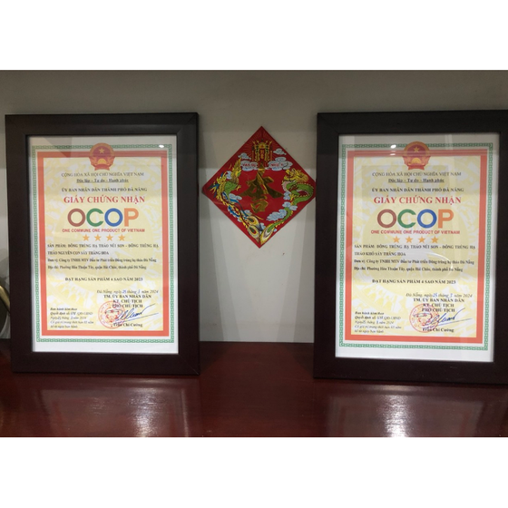 Đông trùng hạ thảo sấy thăng hoa Núi Son