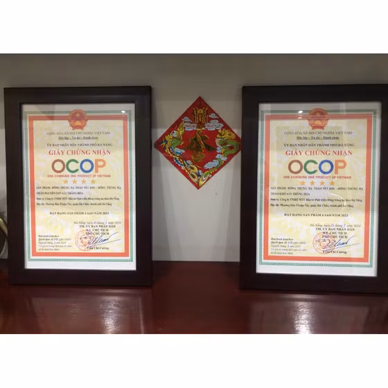 Đông trùng hạ thảo nguyên con Núi Son