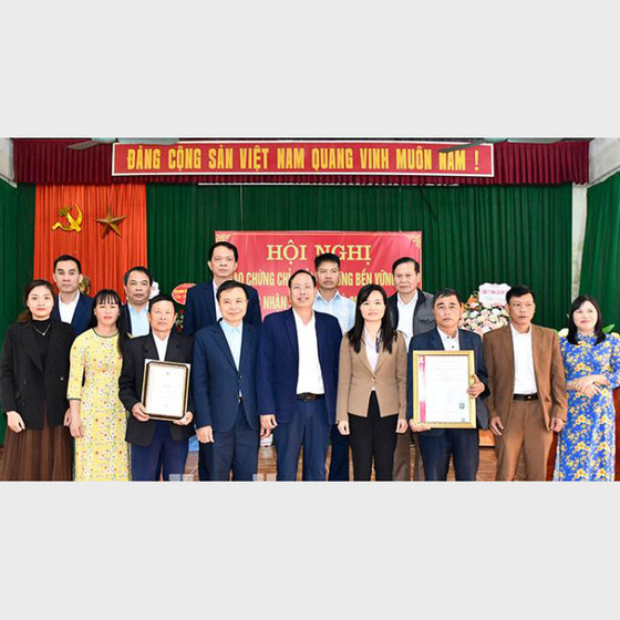 Cà chua Thành Long