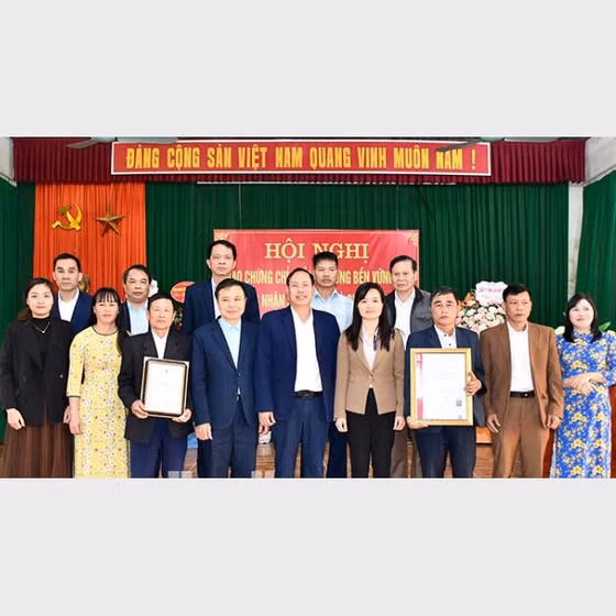 Cà chua Thành Long