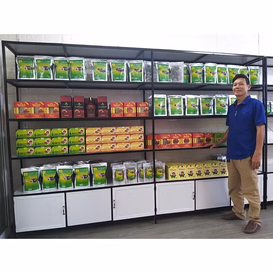 Nấm linh chi Tuấn Linh