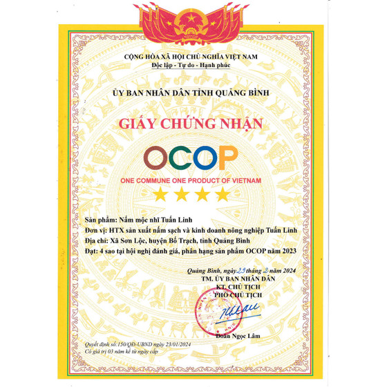 Nấm mộc nhĩ Tuấn Linh