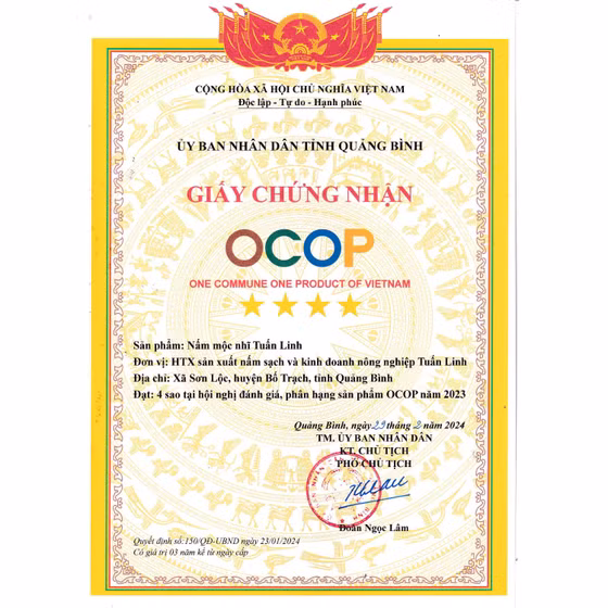 Nấm mộc nhĩ thái sợi Tuấn Linh (100g)