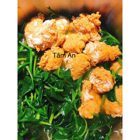 Rau mồng tơi Tâm An Farm