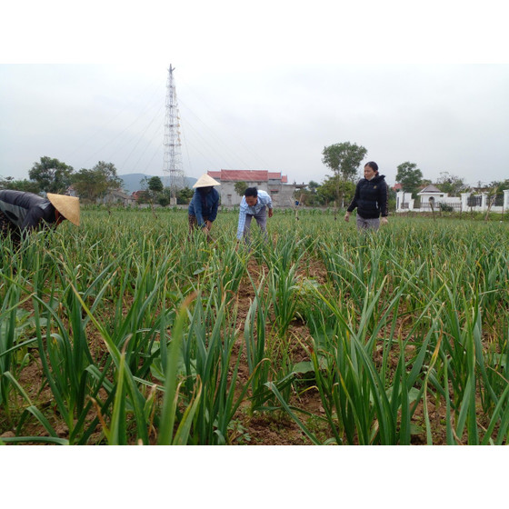 Tỏi đen Quảng Minh