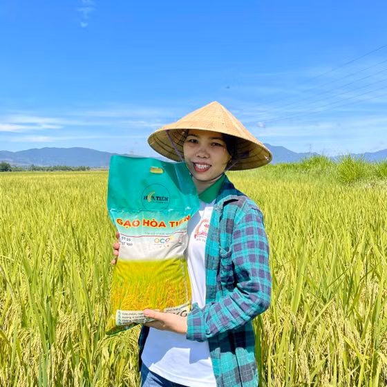Gạo Hòa Tiến