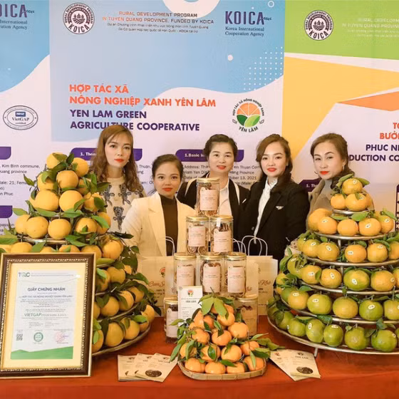 Cam sấy khô Yên Lâm