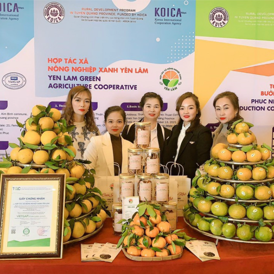 Cam sấy khô Yên Lâm