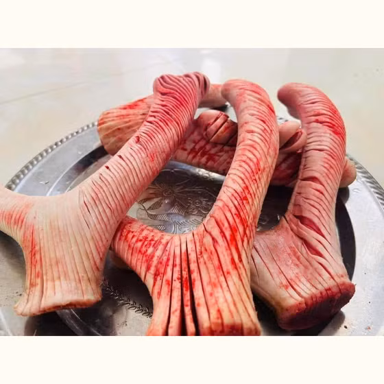Nhung hươu tươi Hiền Ngọc