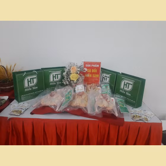 Thịt gà đồi Hiền Tâm