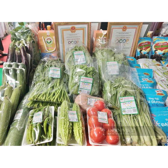 Rau mồng tơi Túy Loan