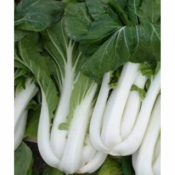 Cải bẹ trắng 500g Afarm