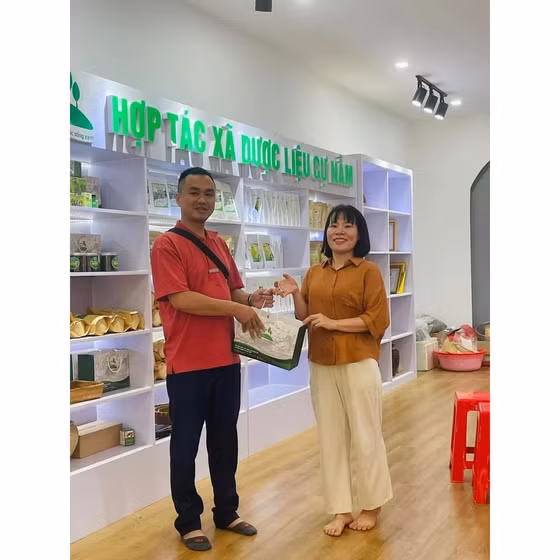 Cao cà gai leo Thanh Bình