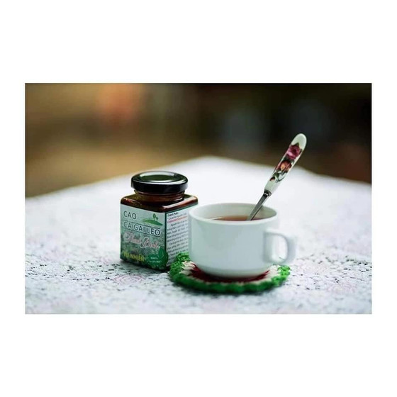 Cao cà gai leo Thanh Bình