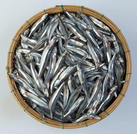 Nước mắm truyền thống Xuân Hồng