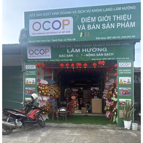 Khoai gieo Lâm Hường