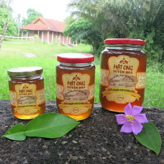 Mật ong Tuyên Hóa