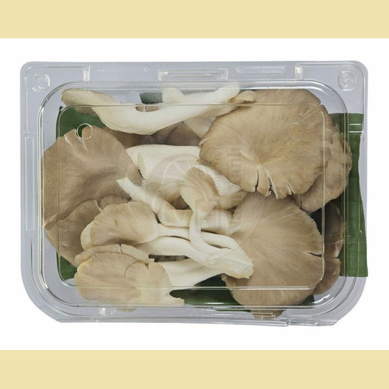 Nấm bào ngư xám tươi