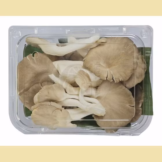 Nấm bào ngư xám tươi