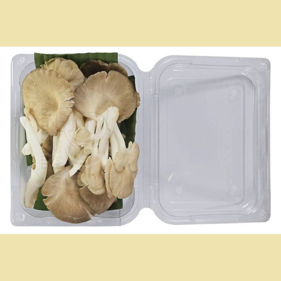 Nấm bào ngư xám tươi