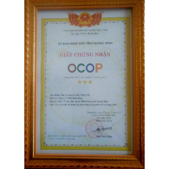 Dầu lạc nguyên chất Nông Việt