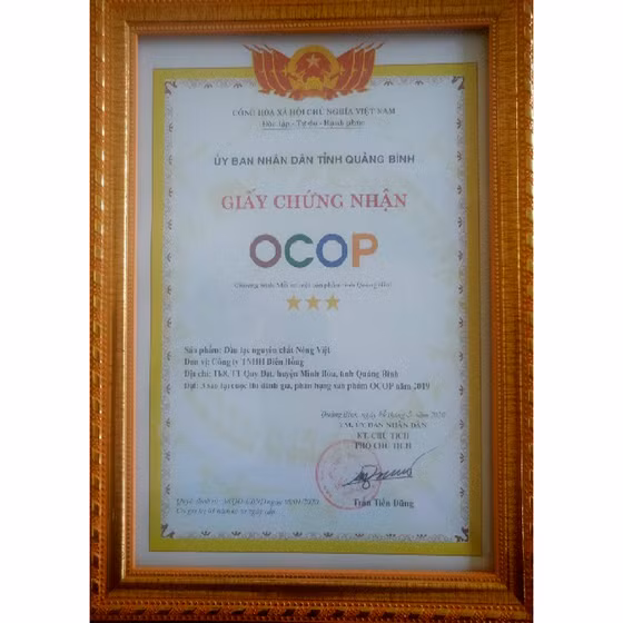 Dầu lạc nguyên chất Nông Việt