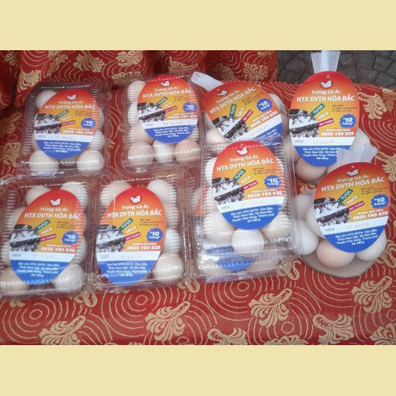 Trứng gà ác Hòa Bắc