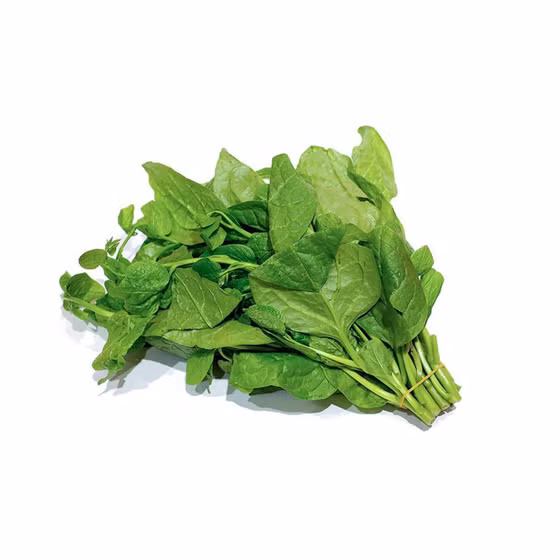 Rau mồng tơi Túy Loan