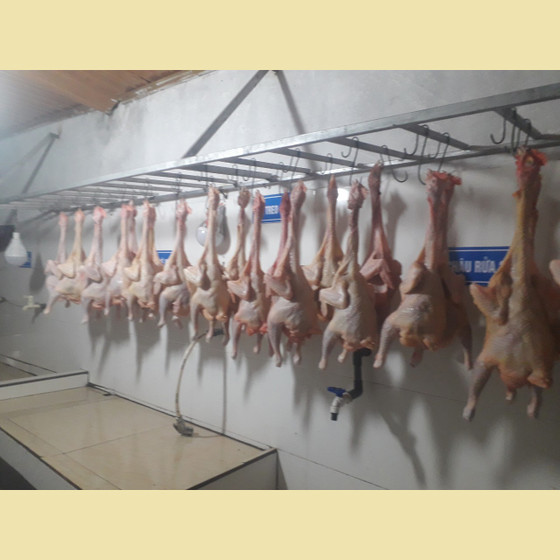 Thịt gà đồi Hiền Tâm