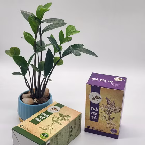 Trà tía tô